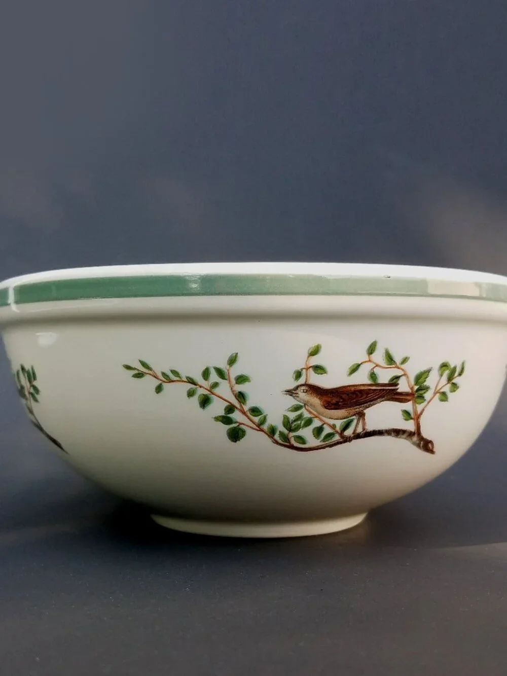 Vintage Portmeirion Birds of Britain Fruit Cereal Bowl Kingfisher 1978 Edition